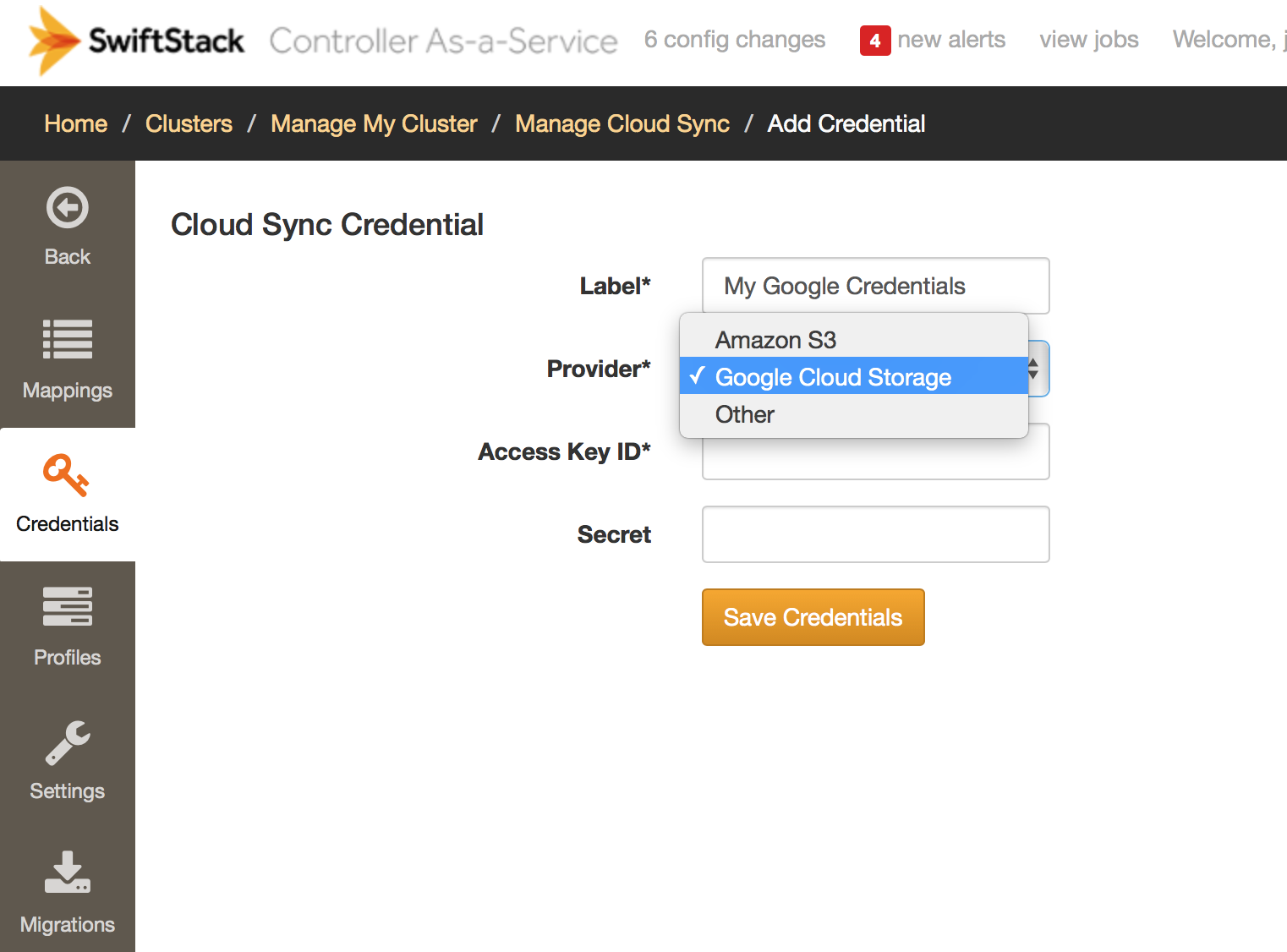 ../_images/cloud-sync-new-google-credential.png